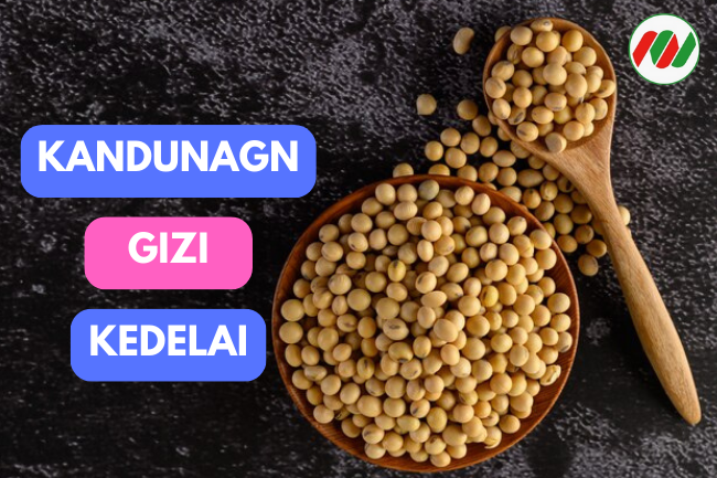 8 Kandungan Gizi Kedelai Yang Kalian Perlu Tau